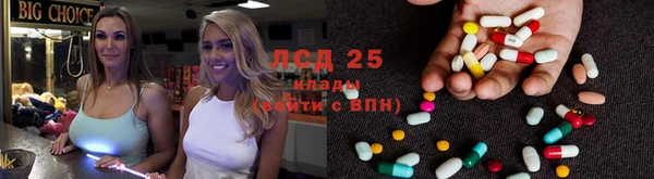 прущая мука Вяземский
