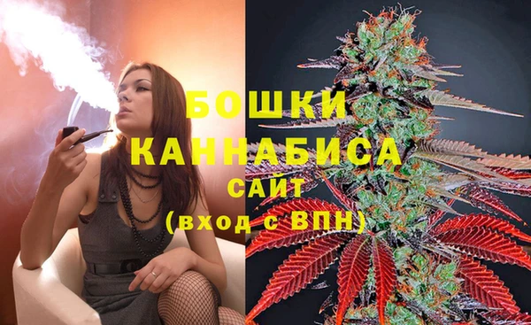 прущая мука Вяземский