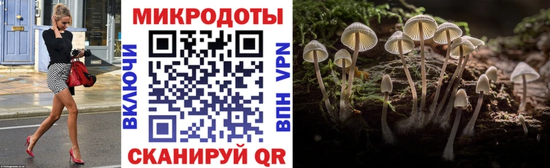 наркотики  Белгород  Галлюциногенные грибы ЛСД 